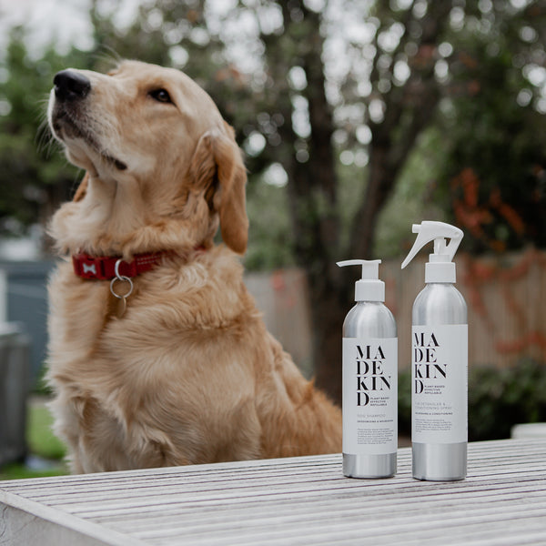 Why use eco-friendly dog shampoo?