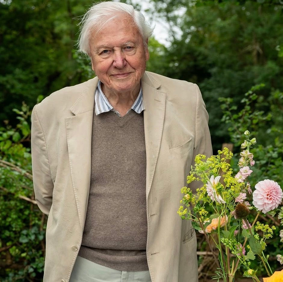 Why Meeting Sir David Attenborough Changed Everything For Us