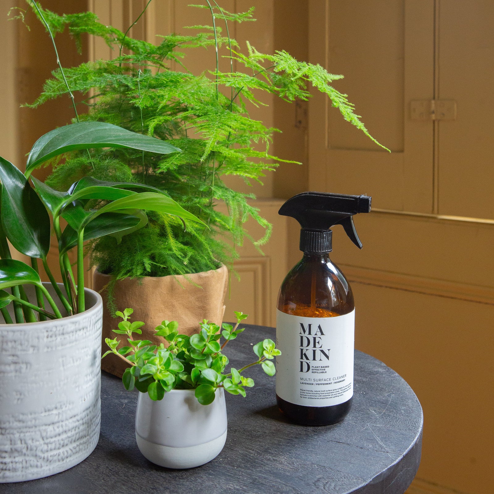 grow tropicals houseplants with madekind natural cleaning products