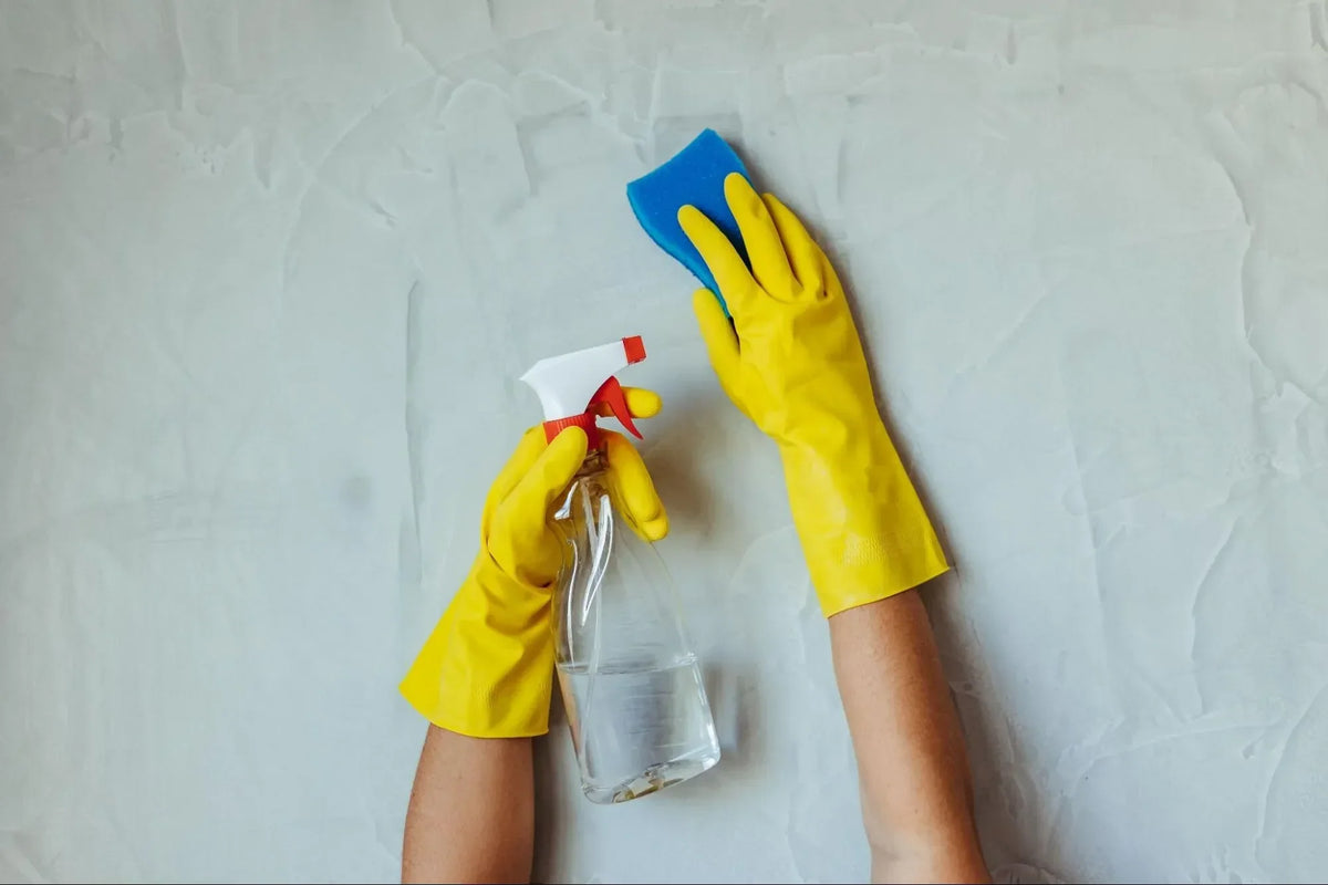 Hands cleaning a wall