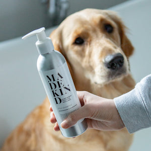 Photo of a hand holding an aluminium dog shampoo bottle at an angle in front of a golden retriever dog