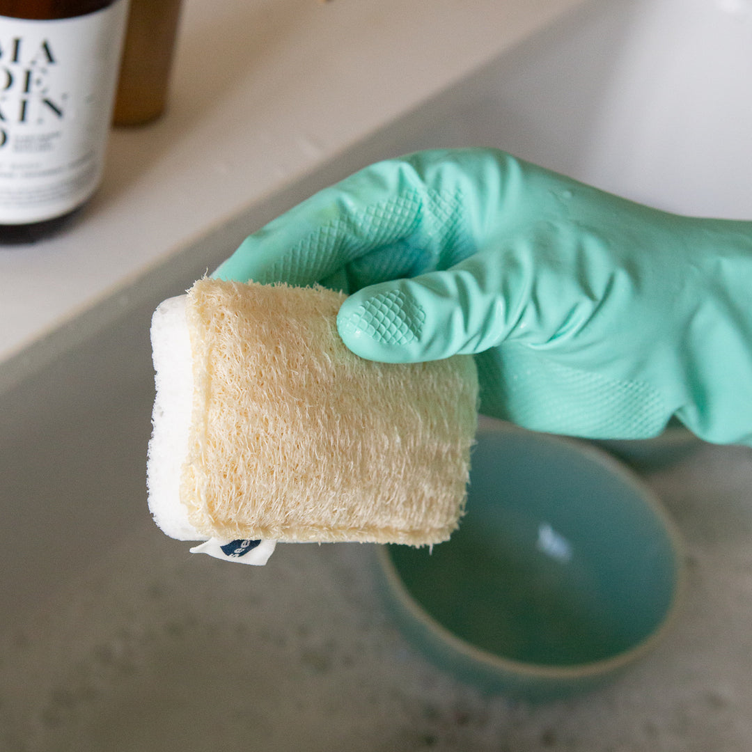 Seep Pack of 4 Eco Sponge Scourers